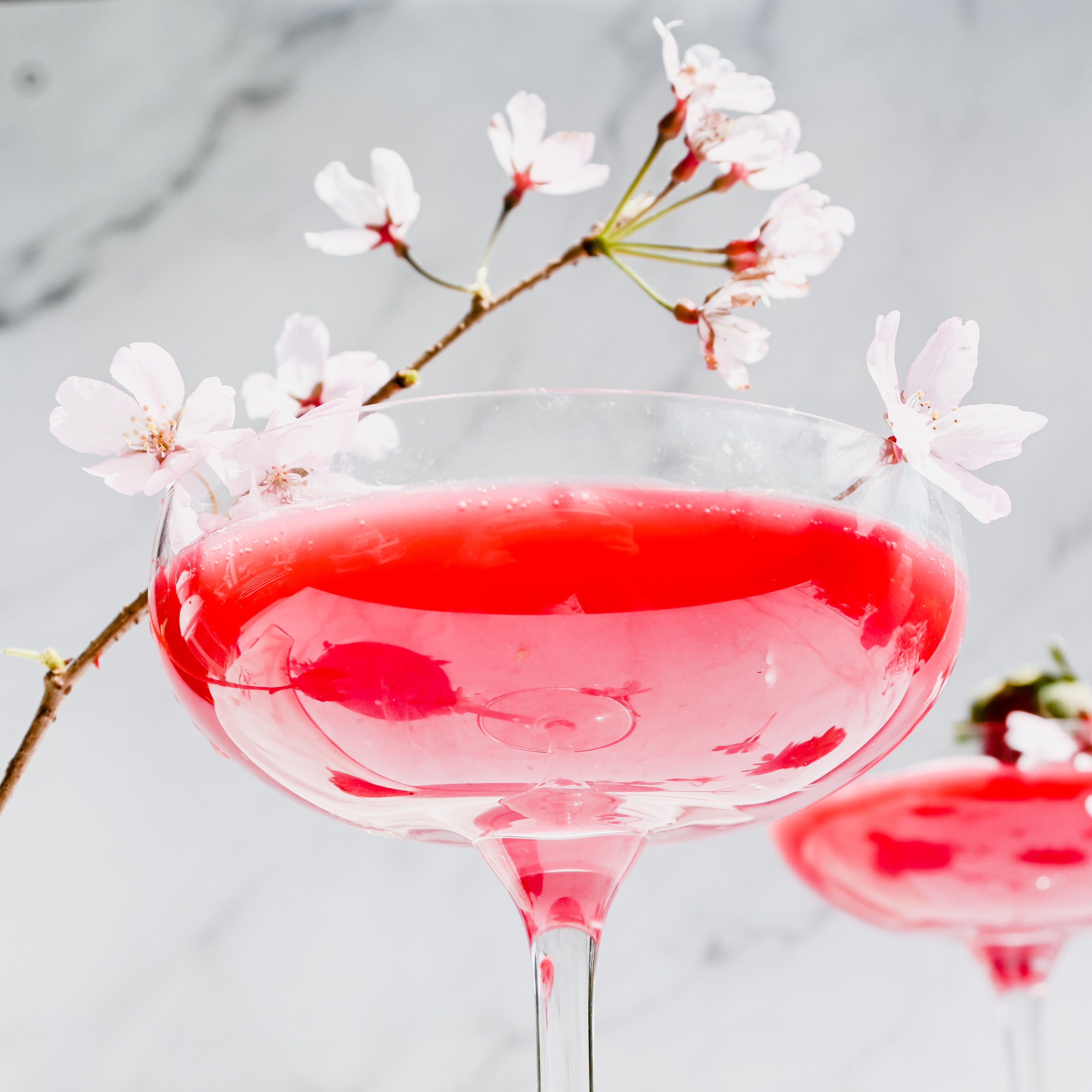 Sakura Bloom Mocktail
