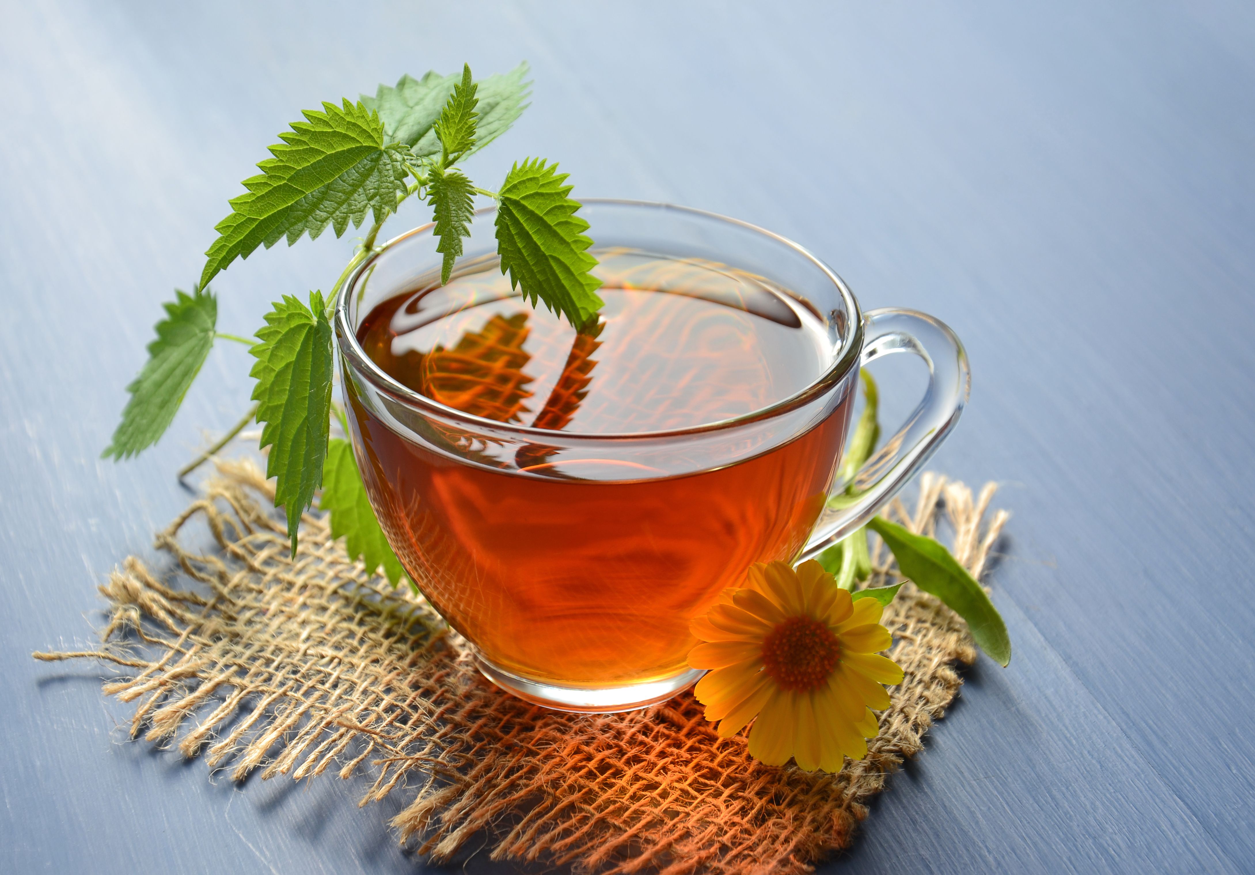 Italian Herbal Tea (Tisana alle Erbe)