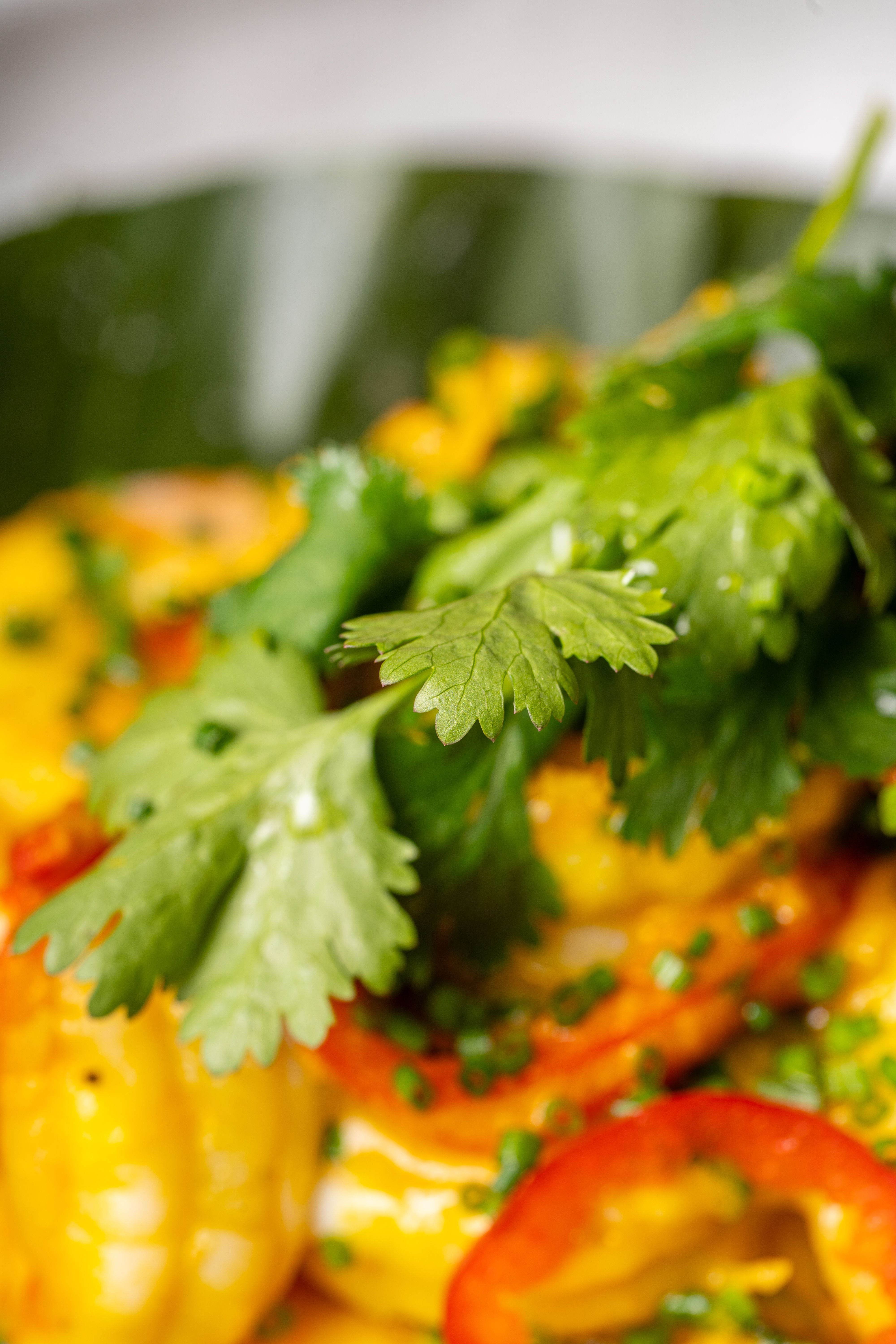 Vegan Yellow Thai Curry with Mixed Vegetables